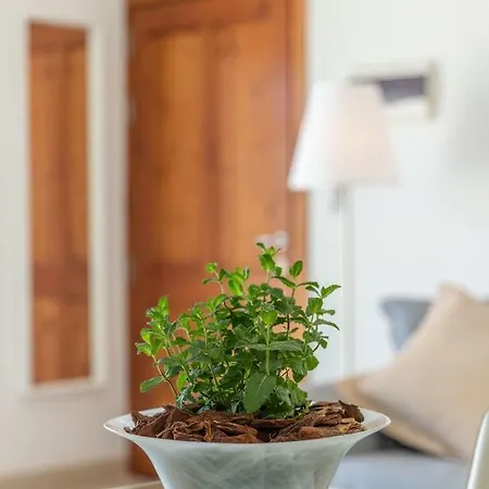 Lägenhet Penthouse *